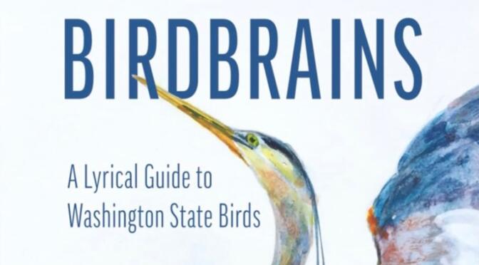 Birdbrains Poetry Reading: Feb. 28, 2:00 – 3:30
